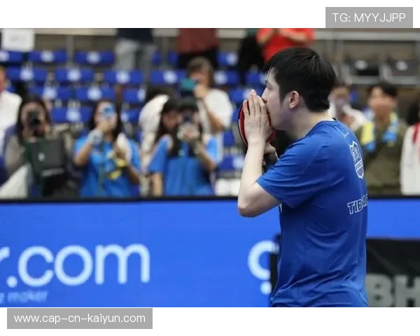 樊振东反手拧拉狠准稳，场面火爆——一场技艺与热血的对决背后